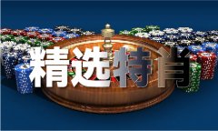 中华精英联盟从论坛全年材料