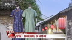 【千年典范向新行】宋锦：锦丝国色 岁月华章